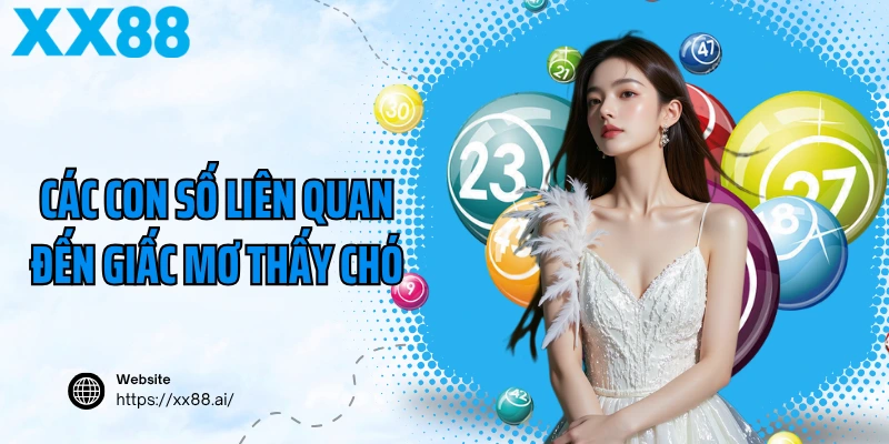 Các con số liên quan đến giấc mơ thấy chó